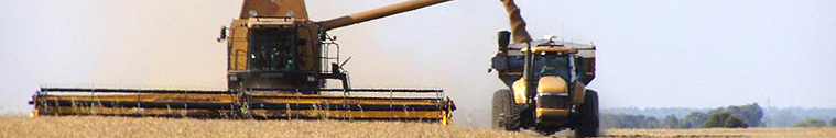 Combine Harvester at Work