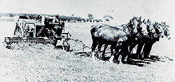 Horse Drawn Combine Harvester