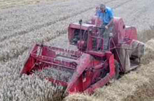 Massey Ferguson Combine Harvester circa 1950s